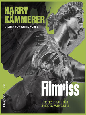 cover image of Filmriss (ungekürzt)